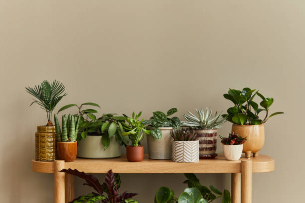 Phytodesign interior example