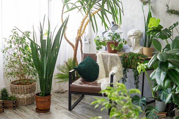 Office lobby phytodesign